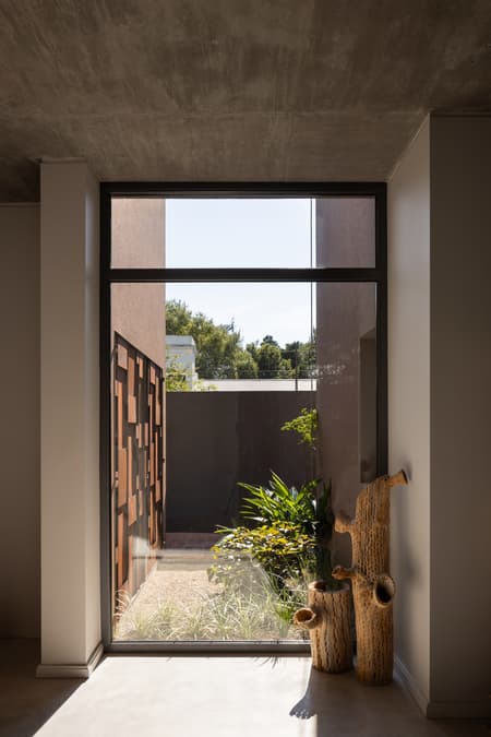 House around the Tree